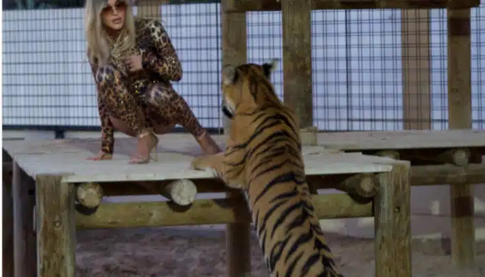 Αναστασία Τερζή